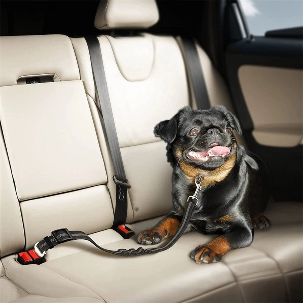 Adjustable Nylon Pet Seatbelt