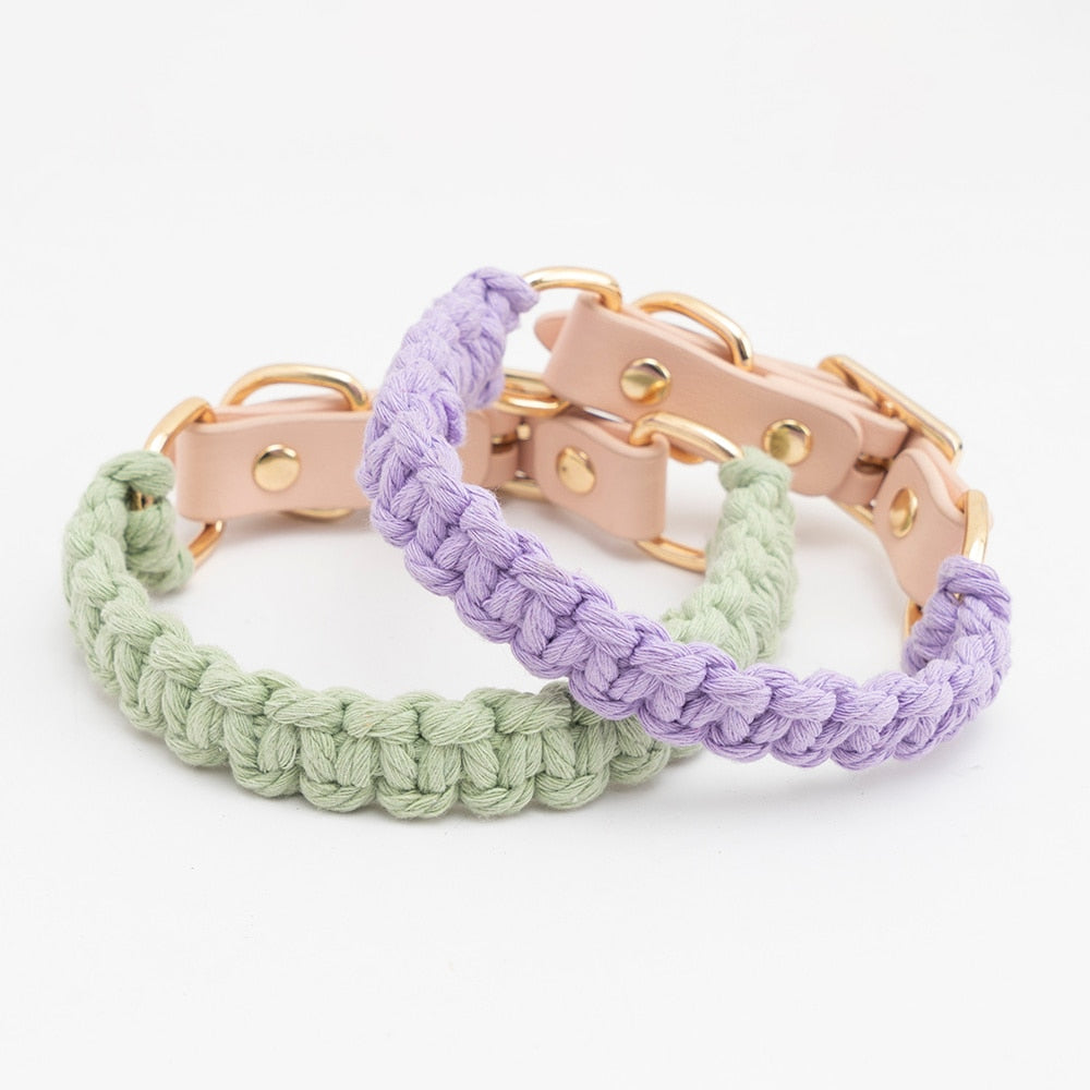 Hand Knitted Leash Collar Set